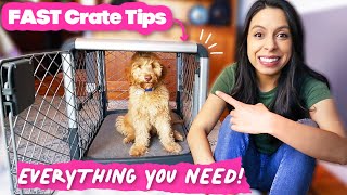 FASTEST Crate Training amp Why you NEED this Dog Crate 🐶 [upl. by Nevla]