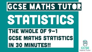 All of Statistics in 30 Minutes Foundation amp Higher Grades 49 Maths Revision  GCSE Maths Tutor [upl. by Zoes303]