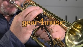 Coppergate Professional Cornet by Gear4music [upl. by Hurlee]