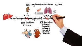 Pharmacology  HYPERTENSION amp ANTIHYPERTENSIVES MADE EASY [upl. by Manolo]