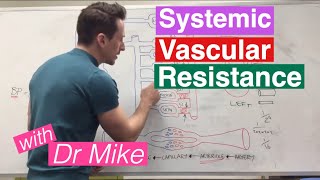 Systemic Vascular Resistance Total Peripheral Resistance  Cardiology [upl. by Barret]