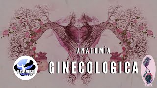 ANATOMÍA GINECOLÓGICA ACEMED UPTC [upl. by Lonny611]