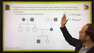 Biologie van Tim  Stambomen [upl. by Nylcsoj]