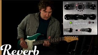 Source Audio Ventris Dual Reverb  Reverb Tone Report Demo [upl. by Amerd]