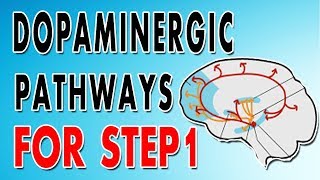 Dopaminergic Pathways [upl. by Orabla228]