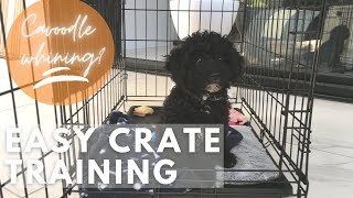 How to crate train a puppy at night whining  Cavapoo cavoodle puppy training [upl. by Kolk]