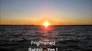 Frightened Rabbit  Yes I Would [upl. by Hardej]