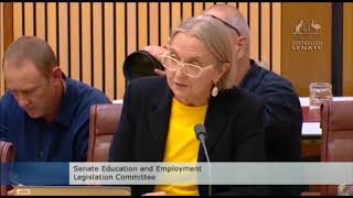 Senate Estimates  Minister Cash and GetUp Raids [upl. by Vilma]