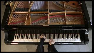 BACH  PASSACAGLIA C Minor  MARIANGELA VACATELLO  Live at HOME [upl. by Nirred494]