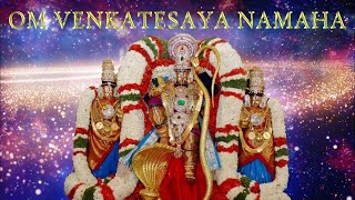 om venkatesaya namaha chanting Om Namo Venkatesaya Chanting TTD [upl. by Peper]