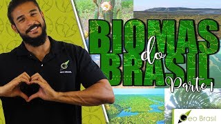 Biomas do Brasil part 1  Geobrasil [upl. by Cyril]