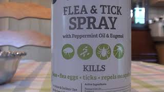 Natural Care Dog amp Cat Flea amp Tick Spray REVIEW NON TOXIC [upl. by Catrina789]