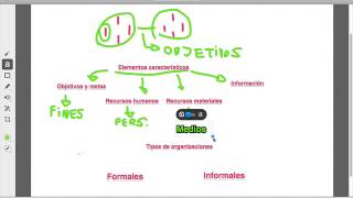 Las Organizaciones  Concepto [upl. by Hen]