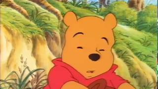 Winnie The Pooh Serie Animada Español Latino [upl. by Airdnala]