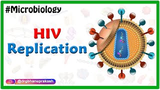 HIV Replication  Microbiology Medical Animations [upl. by Takara656]