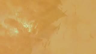 Classic Marmorino Application  Venetian plaster video course 58 [upl. by Herzog]