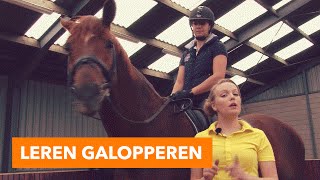 Leren galopperen l PaardenpraatTV [upl. by Augusto]