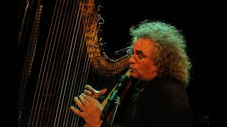 Andreas Vollenweider amp Friends  Stgo De Chile 1995 [upl. by Peursem618]