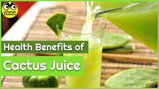 Health Benefits of Cactus Juice [upl. by Giacomo]