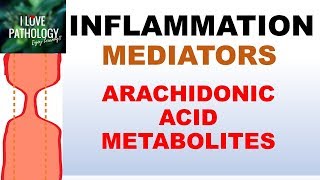 INFLAMMATION Part 5 Chemical Mediators ARACHIDONIC ACID METABOLITES [upl. by Luhe]