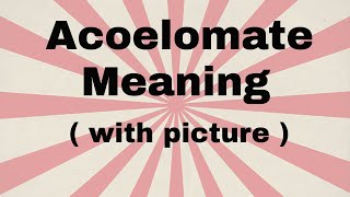 Acoelomate meaning [upl. by Crescantia]