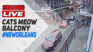 🔴 LIVE New Orleans Cats Meow Balcony [upl. by Yrakcaz]