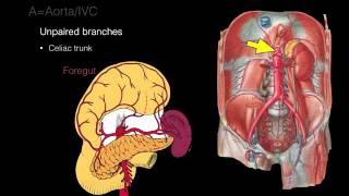 Breast ScreeningImaging for Cancer BIRADS Interpretation [upl. by Natam]