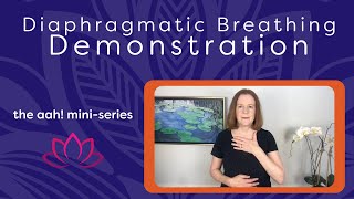 Diaphragmatic Breathing Demonstration [upl. by Rengaw928]