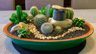 Cacti and Succulents Arrangement [upl. by Tezile485]