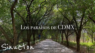 6 Lugares de CDMX donde olvidarás que existe el Caos [upl. by Piderit]