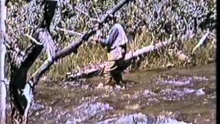 Gadabout Gaddis  Fishing USA part 5 Jackson Hole  Circa 1969 [upl. by Marvin]