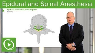 Neuraxial Blocks Epidural and Spinal Anesthesia amp Analgesia – Anesthesia  Lecturio [upl. by Thorstein]