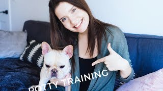 How to Housebreak and Crate Train a Puppy in 3 days  In steps  Advice from a Dog Trainer [upl. by Asiuol89]