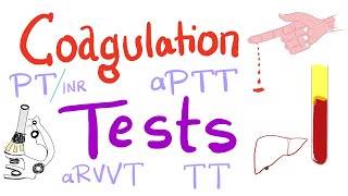 Coagulation Tests  PT aPTT TT Fibrinogen Mixing Studies [upl. by Etteval]