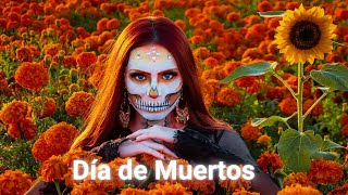 Así es DÍA de MUERTOS en MÉXICO  Documental Así se quotVIVEquot la muerte [upl. by Gibert180]