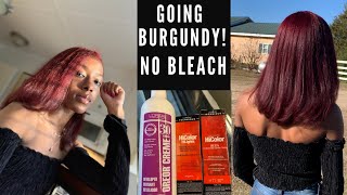 DYING MY NATURAL HAIR BURGUNDY SAFE amp EASY  NO BLEACH [upl. by Seavir]