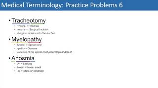 Medical Terminology  The Basics and Anatomy  Practice Problems Set 1 [upl. by Alahsal]