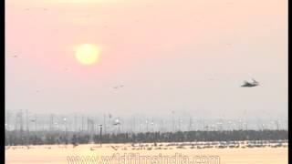 Triveni Sangam  the intersection of Yamuna and Ganges rivers [upl. by Okime]