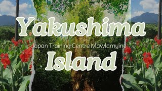 【にほん】Beautiful places to visit in Japan quotYakushima Islandquot【きれいなばしょ】 [upl. by Lesig]