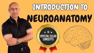 Intro to Neuroanatomy  Neurophysiology  Neuroscience  Central Nervous System [upl. by Nodyl]