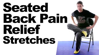 Seated Back Pain Relief Stretches [upl. by Aremaj611]