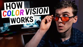 How COLOR VISION Works Types of Color Blindness Genetics amp Disease [upl. by Gerty]