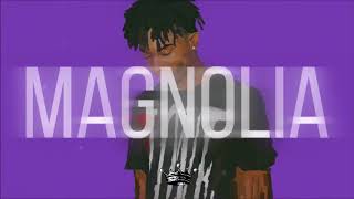 Playboi Carti Magnolia Instrumental Prod KVNG Zuzi [upl. by Tselec]