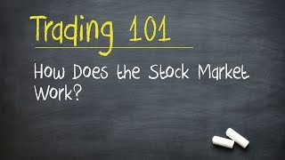 Trading 101 How Does the Stock Market Work [upl. by Efthim]