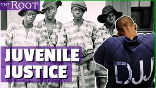 History of the Juvenile Justice System [upl. by Areek]