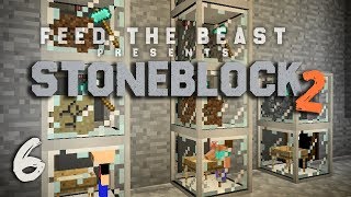 StoneBlock 2 Modpack Ep 6 Automatic Sieve Setup  Item Sorting [upl. by Cristian]