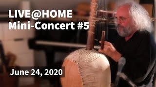 Andreas Vollenweider  LIVEHOME  Mini Concert 5  24062020 [upl. by Ihsar809]