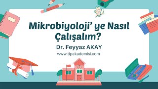 MİKROBİYOLOJİ YE NASIL ÇALIŞALIM [upl. by Krik938]