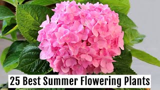 Grow These 25 BEST Summer Flowering Plants This Season  PART 1 [upl. by Ardnahsal110]