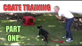 Crate Training Part 1 Dog Training [upl. by Atener]